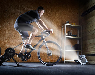 Why Every Home Gym Needs the Right Cooling Fan